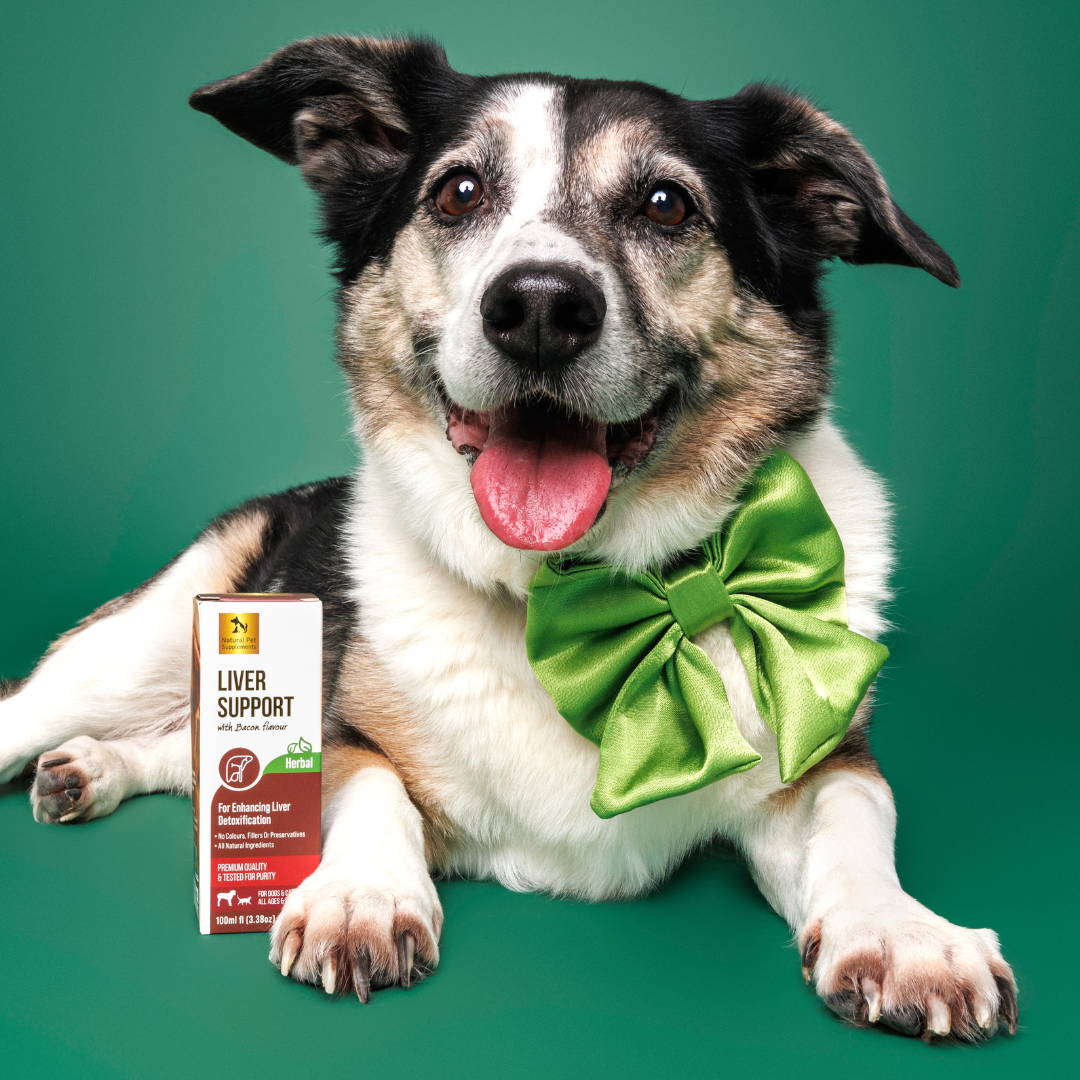 Liver support dog food clearance